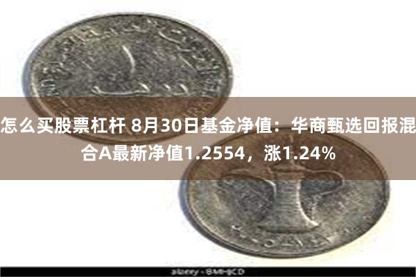 怎么买股票杠杆 8月30日基金净值：华商甄选回报混合A最新净值1.2554，涨1.24%